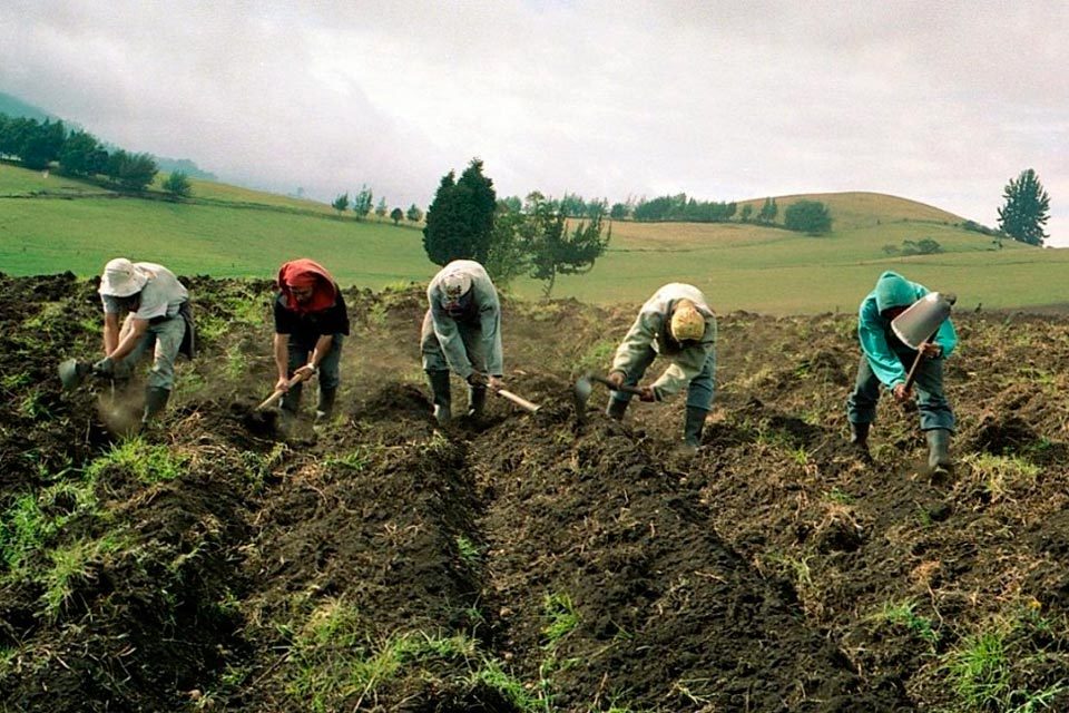 Estiman $1.500 millones de inversión necesaria para aumentar producción de alimentos