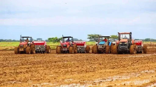 Venezuela registra 14 trimestres de crecimiento en el área de producción agrícola