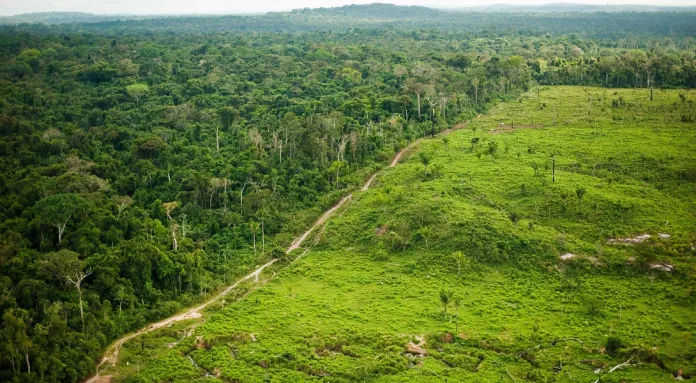 Cinco países se suman a iniciativa de Brasil para preservación de las selvas