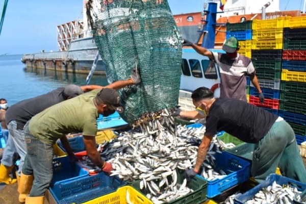 Venezuela promueve capacitación de empresas del sector pesquero para exportar a China