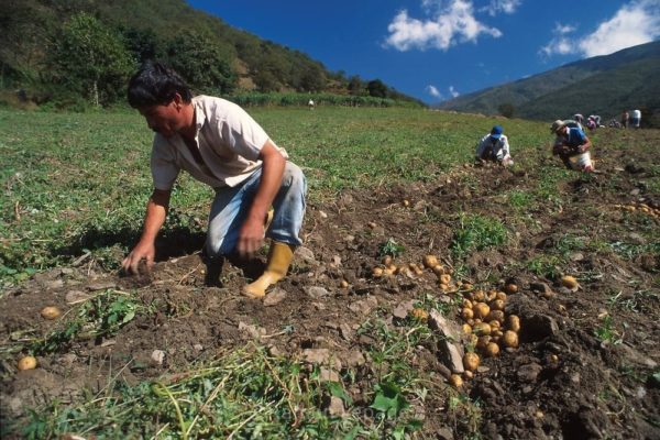 Roberto Latini alerta: se debe "revertir" la descapitalización de los productores agrarios