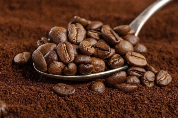 Esperan que la producción de café en Venezuela este año supere el millón de quintales