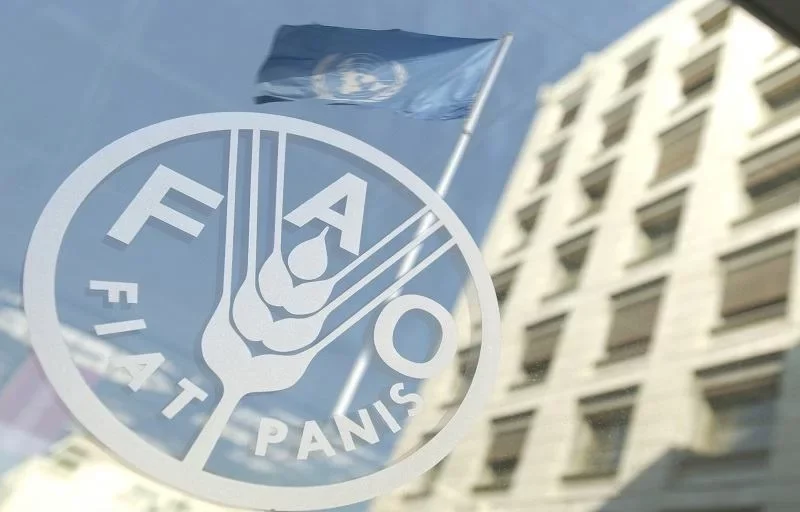 FAO | La producción pesquera y acuícola mundial alcanza un nivel sin precedentes