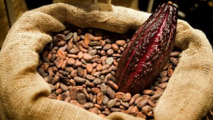 Gobierno desarrolla plan para el desarrollo de la industria cacaotera