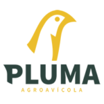 _pluma