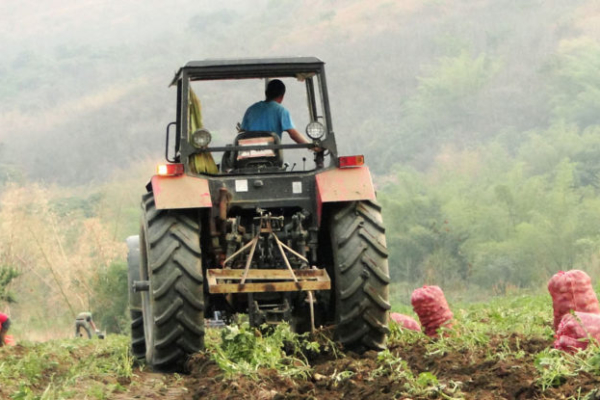 El sector privado es el principal empleador: Un ingeniero agrónomo en Venezuela gana US$ 300 al mes