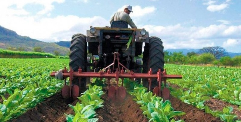 Gremialistas solicitan un catastro nacional agropecuario para conocer «realidad agraria»