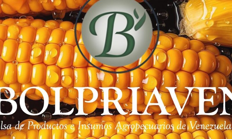 Bolpriaven promueve «bonos de prenda» para una inversión segura y rentable