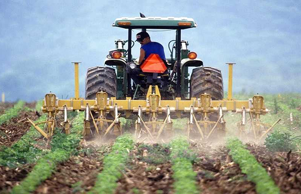 Productores agrícolas proponen impulsar escuelas formativas zamoranas