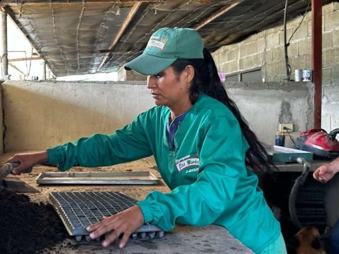 En Las Marías apuestan a la agroecología