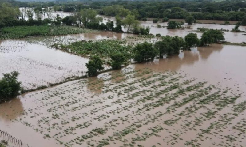 FAO insta a tomar previsiones ante llegada de La Niña en América Latina