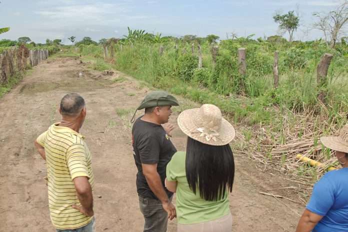 Rehabilitan vialidad agrícola del eje cafetalero de Anzoátegui