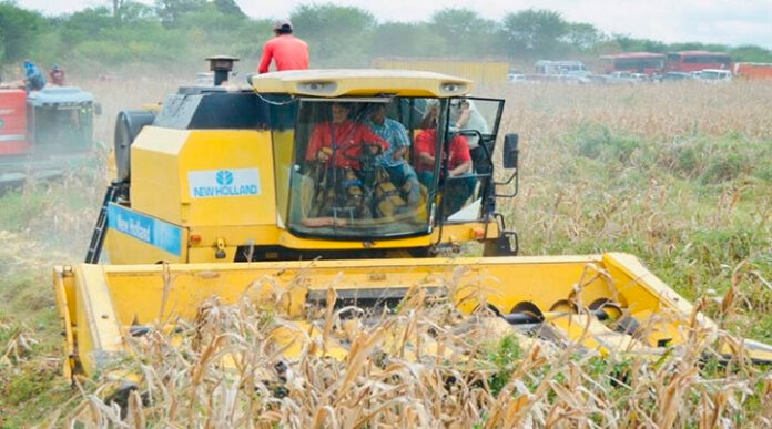 Guárico se posiciona como mayor productor de cereales en todo el país