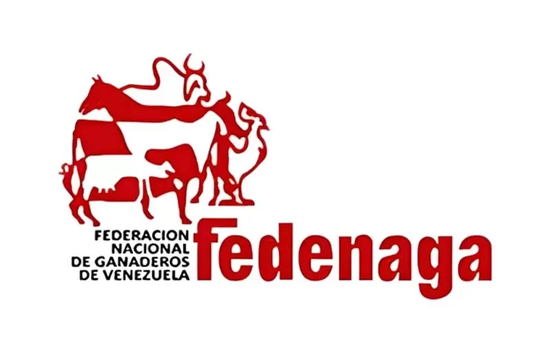 Fedenaga solicita incentivos fiscales para impulsar el desarrollo ganadero