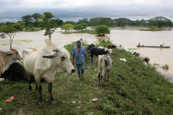 Fegalago advierte que unas 150 mil hectáreas de terreno al sur del Lago de Maracaibo están en riesgo de inundaciones