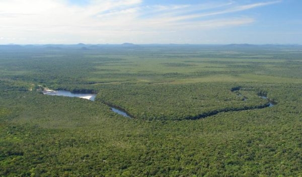 Países amazónicos acuerdan fortalecer cooperación en política medioambiental y económica