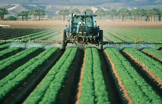 Fedeagro: Inversión de mil 500 millones de dólares en 5 años generaría 90% de soberanía alimentaria