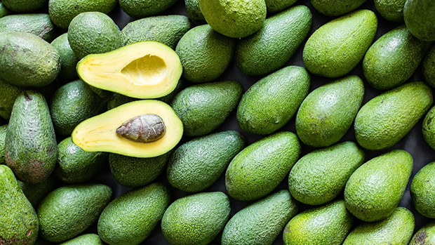 En Yaracuy se produce el 52% de los aguacates del país