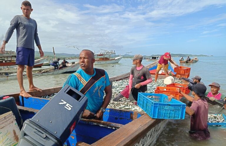 Pescadores de Nueva Esparta siguen esperando la ribazón de sardinas