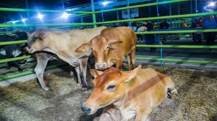 Impulsarán proyectos agrícolas en la Feria Agroturística en El Tigre