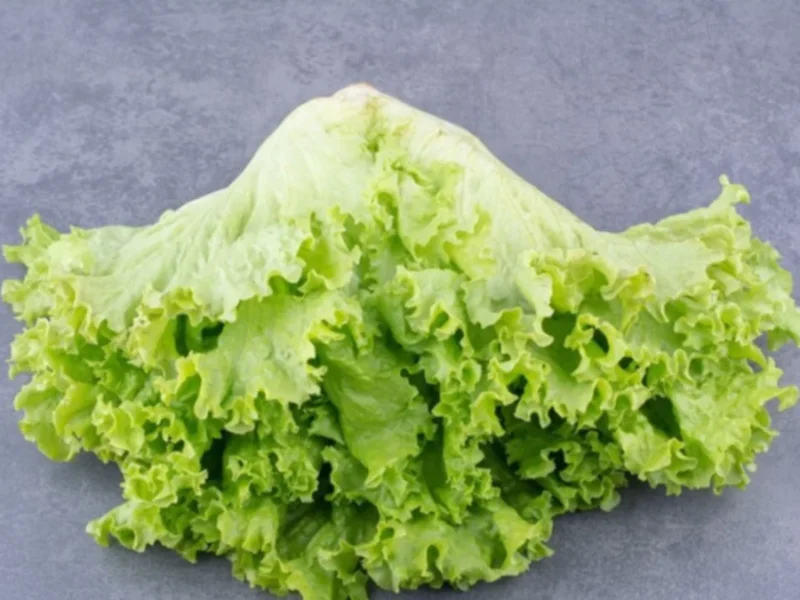 ¿Cuáles son los beneficios del té de lechuga? Esto dice la ciencia