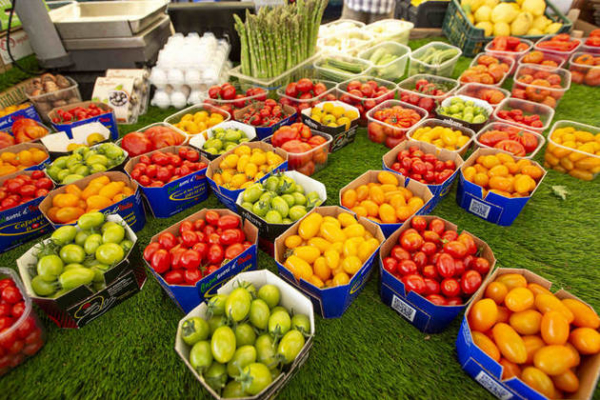 Los aranceles de EEUU amenazan las exportaciones agrícolas de Latinoamérica