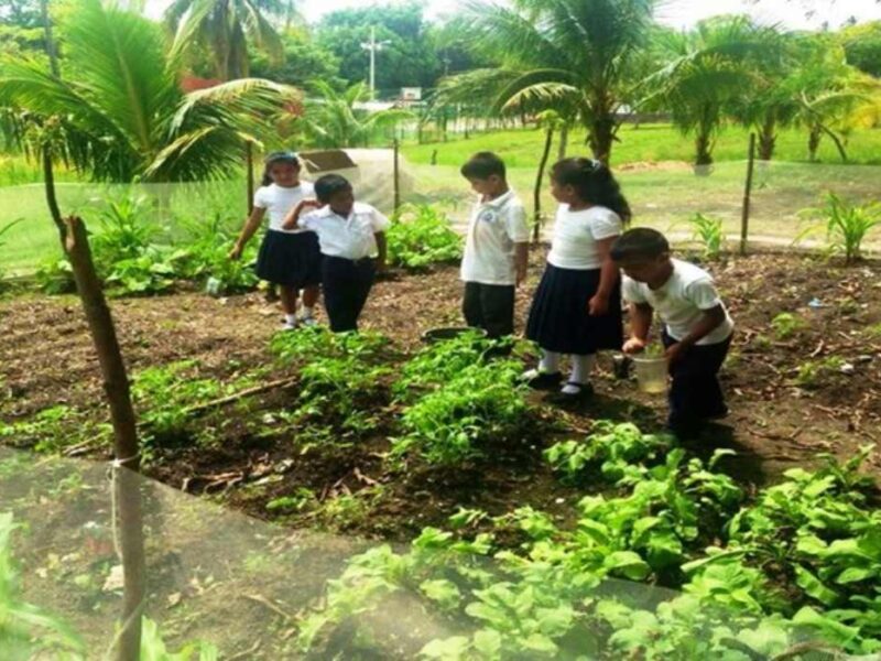 Presidente Nicolás Maduro: Venezuela se convertirá en una potencia productora de alimentos