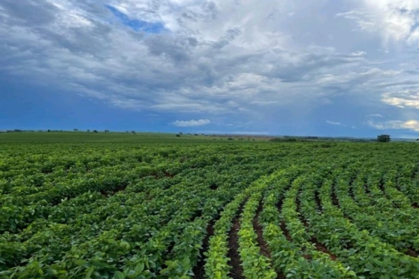 Perspectivas de la agricultura en Venezuela: ¿Más oportunidades que desafíos o más desafíos que oportunidades?