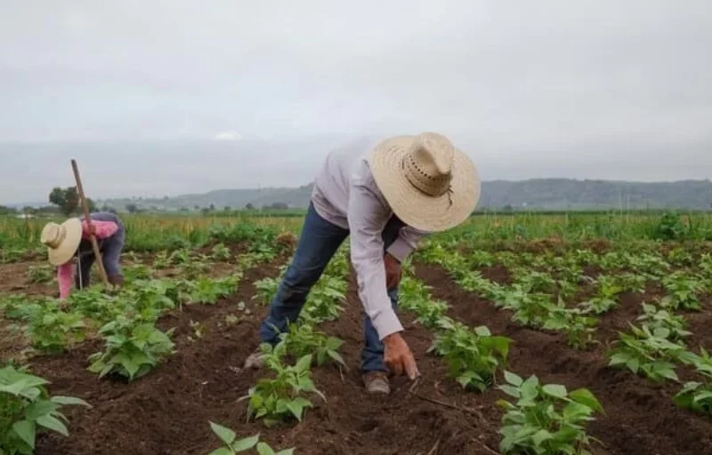 Venezuela apuesta por relanzar sus exportaciones con foco en el agro