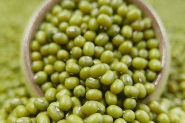 #Dato: Venezuela exportará a Turquía 3.000 toneladas de frijol chino y productos como cacao y café