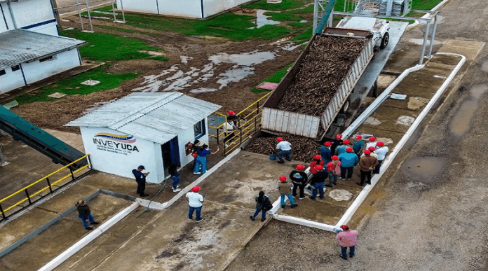 Sur de Anzoátegui produce el 60 % del almidón de yuca que consume Venezuela