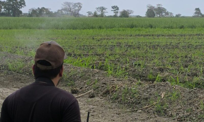 Soca-Portuguesa sigue impulsando el uso de la tecnología con nuevo programa de fotogrametria
