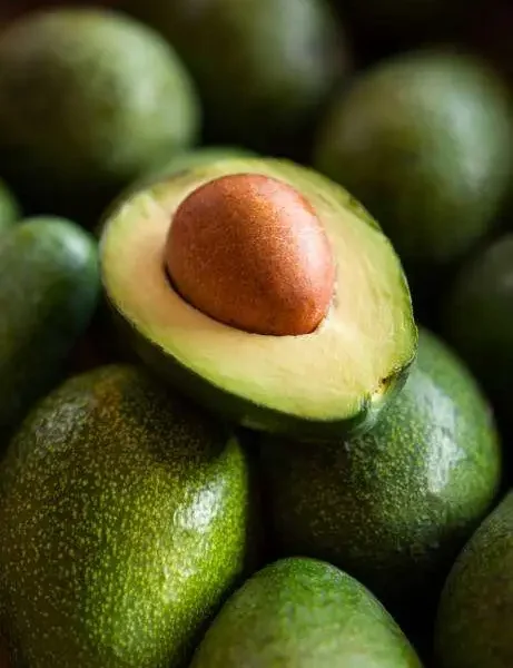 Promueven exportación de aguacates a China