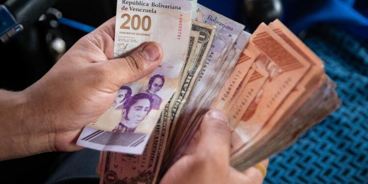 Bolívar cae un 52 % frente al dólar en el mercado oficial en el primer semestre