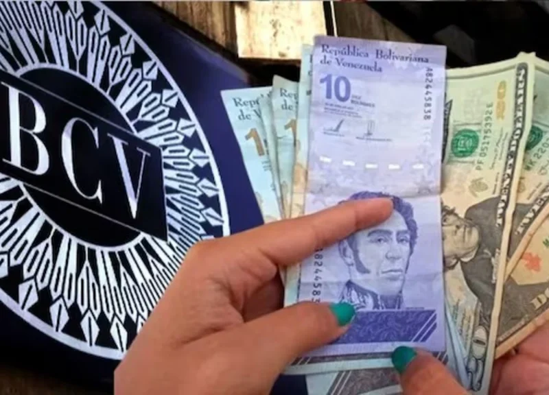 Precio del dólar y euro BCV para hoy 11 de julio: así amanecen las divisas oficiales
