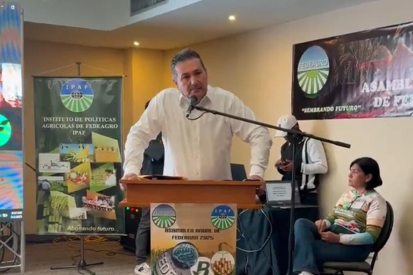 Fedeagro advierte que lluvias afectaron el 5% de la siembra de maíz: "la cifra puede incrementar"