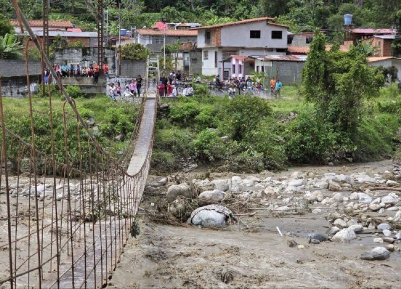 Al menos 150 hectáreas quedaron destruidas por las lluvias en la región andina