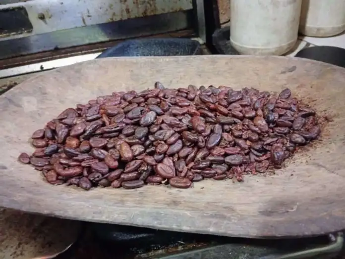 Con plan piloto impulsan cultivo de cacao en Cojedes