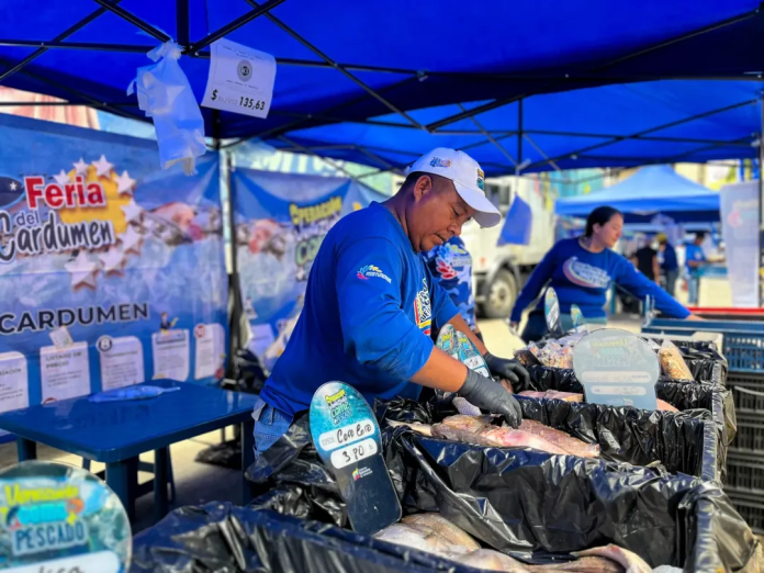 Distribuyeron casi 16 toneladas de pescado en la Avenida Bolívar de Caracas
