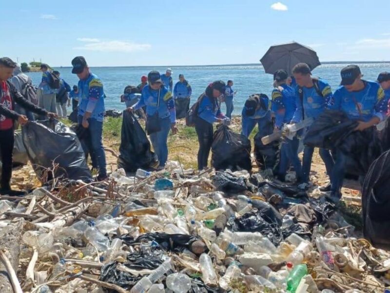 Más de 300 mil toneladas de desechos se han retirado del Lago de Maracaibo