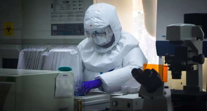 Con sello venezolano: Avances en el rejuvenecimiento celular marcan hito científico