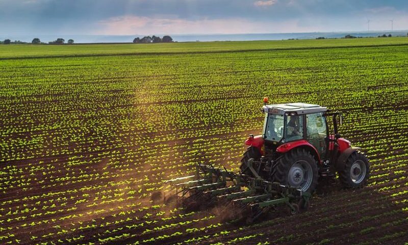 Fedeagro celebrará sus 60 años con foro de expresidentes y discusión sobre «el futuro agropecuario»