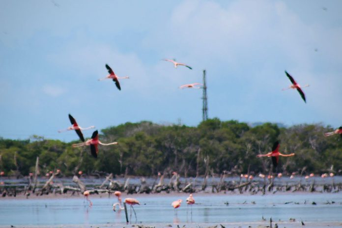 Avavit: el turismo en Venezuela seguirá creciendo impulsando la economía
