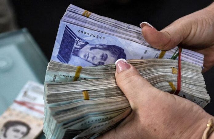 Economista estima que la inflación cerrará el año cerca de 250 % y el dólar a Bs. 315