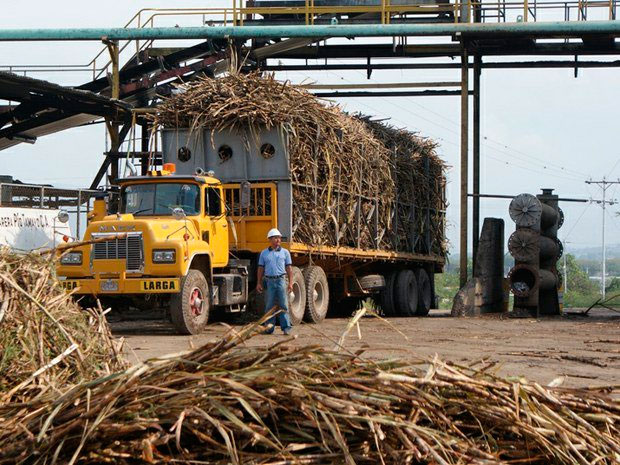 Inició zafra azucarera en Portuguesa con miras a aumentar la producción