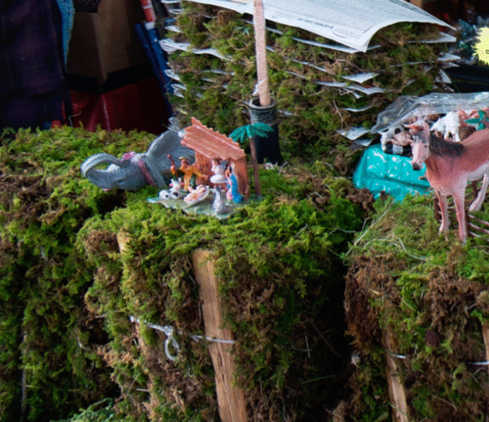 Multas de hasta 10.000 UT pagarán quienes extraigan musgo y helechos en Mérida