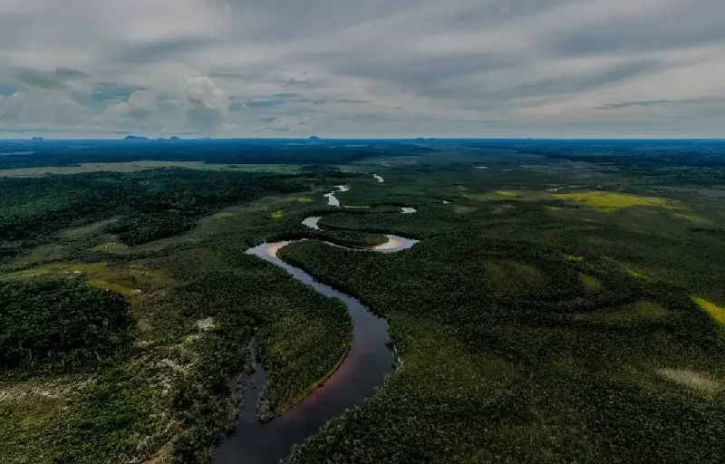 CAF invertirá $40.000 millones para impulsar el crecimiento verde en América Latina