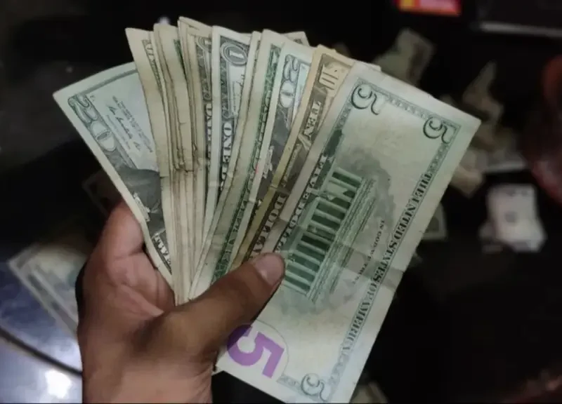 Dólar y euro BCV para el 11 de noviembre: así se cotizarán las divisas oficiales