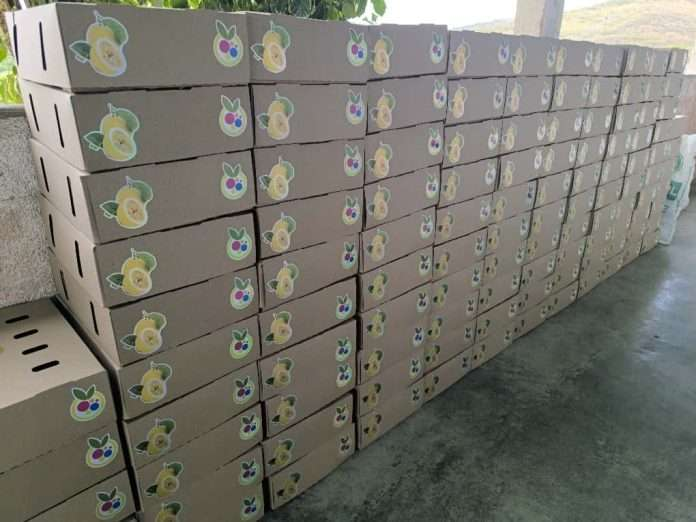 Juan Blanco, vocero de la firma BitData Consultores, ha señalado que el uso de la criptomoneda estable USDT en Venezuela registra una penetración significativa entre la población.  Comercio e industria aumentan aceleradamente operaciones con criptomonedas en Venezuela De acuerdo con su análisis, aproximadamente uno de cada diez ciudadanos venezolanos está empleando activamente plataformas digitales para la transacción de este criptoactivo.  El especialista destacó que la adopción está siendo impulsada mayormente por particulares, pero ha visto una creciente incursión en el comercio y grandes sectores industriales claves como el petrolero y el cementero. Sus declaraciones se produjeron durante una entrevista radial con el Circuito Éxitos.  Blanco explicó que la rápida expansión del Tether (USDT), cuyo valor está paritariamente ligado al dólar estadounidense, responde a un fenómeno económico local: la criptomoneda está llenando un vacío al ofrecer una alternativa ante la dificultad para la entrada y circulación fluida de divisas tradicionales en el país.  La principal plataforma utilizada para estas operaciones es Binance, precisó el especialista.  Aunque esta plataforma global no cuenta con oficinas físicas en Venezuela y tiene su sede en las Islas Caimán, se ha consolidado como la líder de criptoactivos más empleada tanto a nivel nacional como mundial, medida por capitalización de mercado.  Entre sus ventajas competitivas, sostuvo, destaca la capacidad de realizar pagos directos con un correo electrónico o ID, lo que permite transferencias rápidas y con costos muy bajos, facilitando el movimiento de fondos en el ecosistema nacional.  Este panorama se desarrolla en un contexto global donde coexisten miles de proyectos de criptoactivos y plataformas de intercambio, si bien dicha diversificación no se refleja del todo en el movimiento del mercado cripto venezolano.  Lea más contenido interesante y de actualidad: Ganancias generadas por el bitcoin se evaporan mientras su precio cae por debajo de US$90.000 #Dato: Proyectan que aumentará el uso de criptomonedas en Venezuela para comprar y alquilar inmuebles