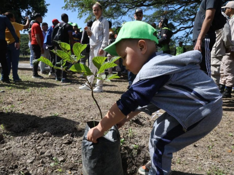 Aragua cerró Jornada de Reforestación con más de 39.000 árboles plantados
